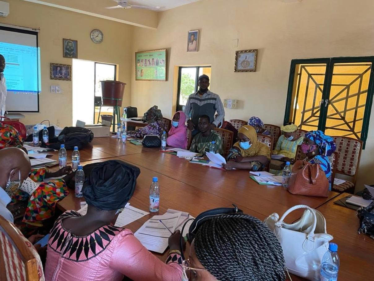 Formations de l'étude 'Corona Kele'